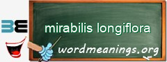 WordMeaning blackboard for mirabilis longiflora
